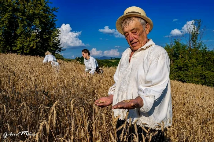 Agricultori la câmp  FOTO Gabriel Motica