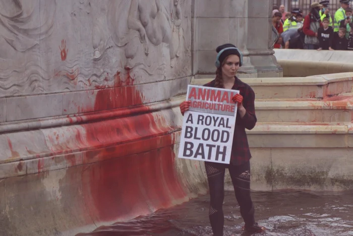 Palatul Buckingham vandalizat FOTO Twitter Animal Rebellion