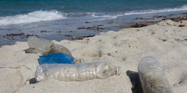 Poluarea din Marea Mediterană, o problemă extrem de gravă. FOTO WWF