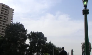 Alger, în căutarea unei mișcări jpeg