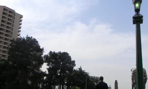 Alger, în căutarea unei mișcări jpeg