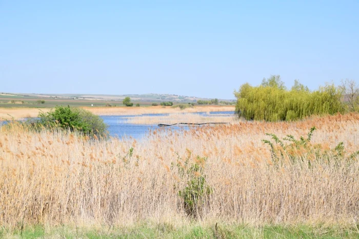 Turbăria de la Dersca FOTO Arii Naturale Protejate Botoşani/facebook