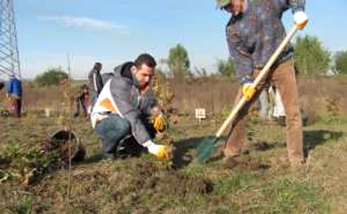 voluntari2