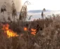 Malurile Oltului mistuite de flăcări pe 20 de hectare la Băbeni Vâlcea Foto Adevărul