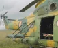 flori avion