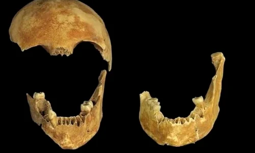 “Crimă” descoperită după 8 000 de ani jpeg