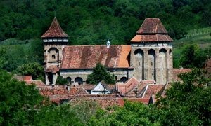 biserica valea viilor r jpg