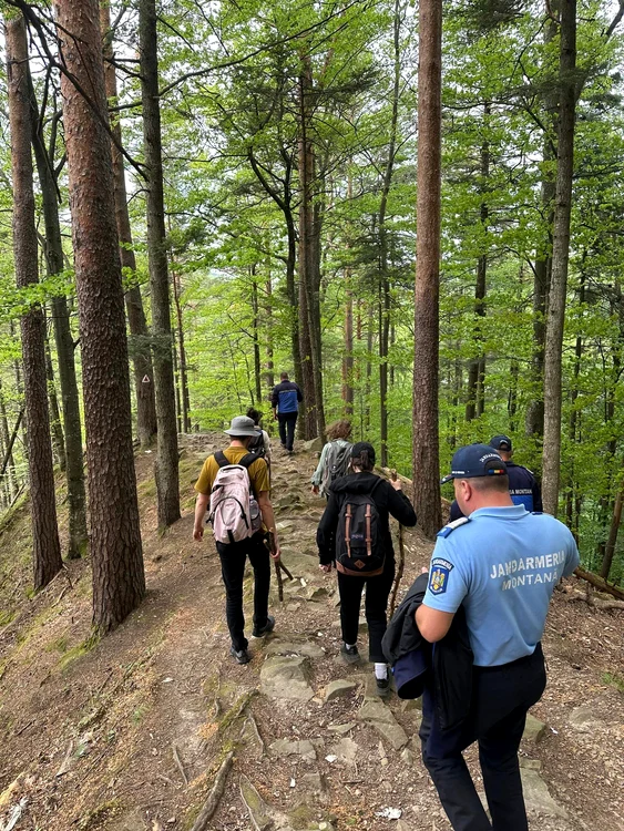 Turistii au sunat la 112 dupa ce s-au intalnit cu patru ursi FOTO IJJ Bacau