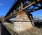 Podurile de peste Mures, Branisca Hunedoara, Foto Daniel Guță ADEVĂRUL (65) JPG