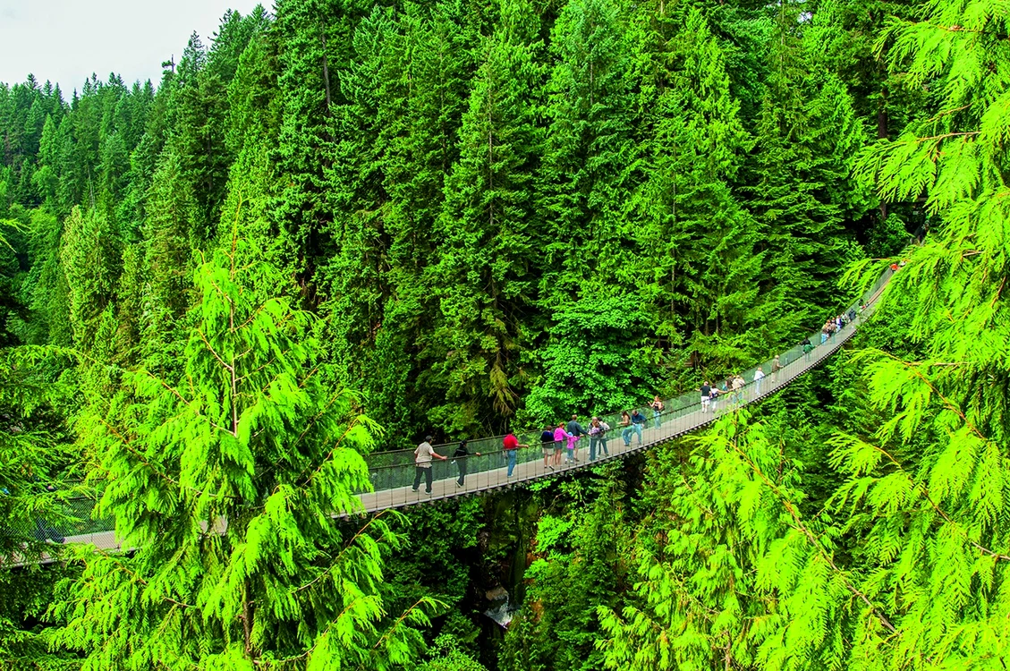 Plimbare la înălţime (literalmente), pe podul suspendat Capilano