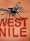 1 west nile jpg jpeg