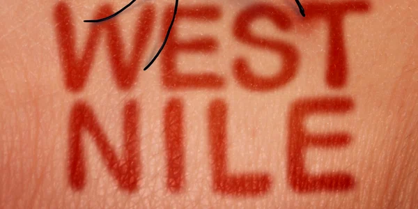 1 west nile jpg jpeg