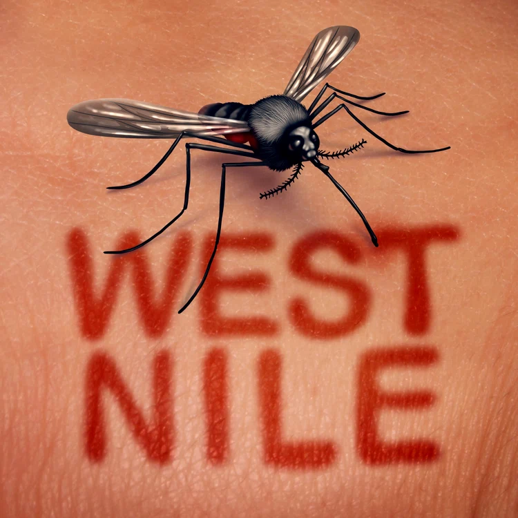 Cazurile confirmate de infectare cu West Nile sut în creștere FOTO: arhiva
