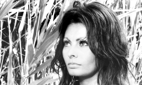 Sophia Loren 88 jpg