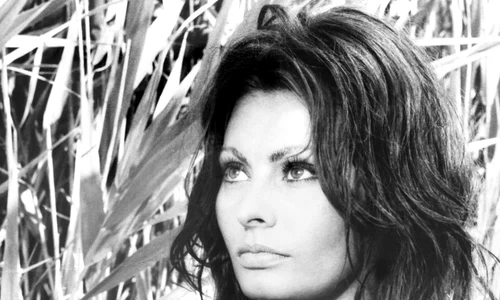 Sophia Loren 88 jpg