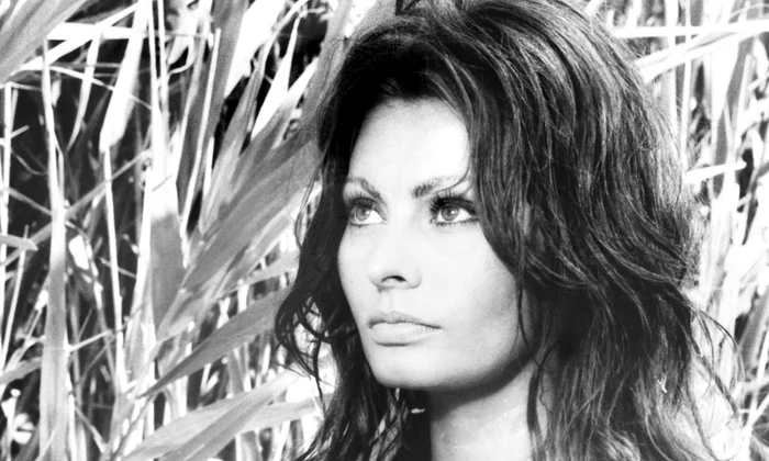 Sophia Loren 88 jpg