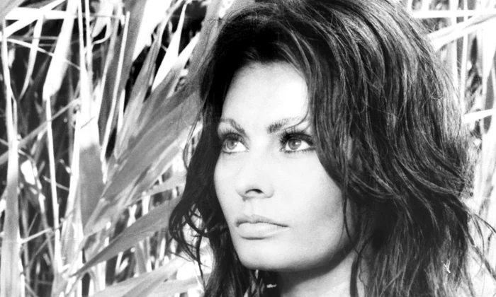 Sophia Loren 88 jpg