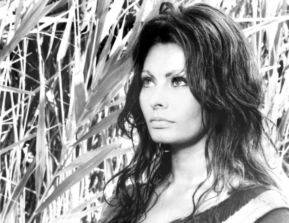 Sophia Loren 88 jpg