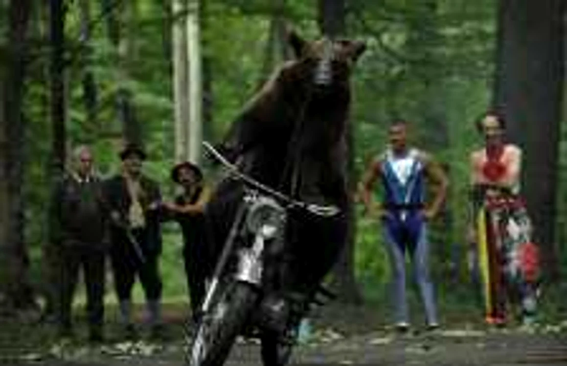 Scenă fin filmul „Ursul”, regizat de Dan Chişu