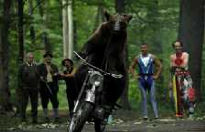 Scenă fin filmul „Ursul”, regizat de Dan Chişu