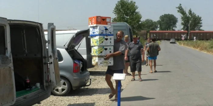 producătorii din olt îşi vând legumele pe nimic la piaţa engros de la doba