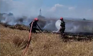 incendiu ploiesti lan de grau foto isu jpg