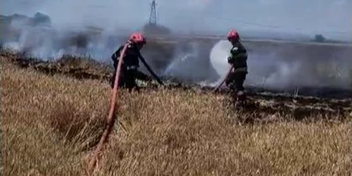 incendiu ploiesti lan de grau foto isu jpg