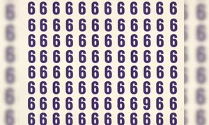 optical illusion 6 jpg