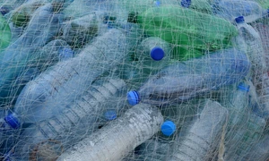 sticle de plastic reciclare INATECH jpg
