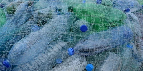 sticle de plastic reciclare INATECH jpg