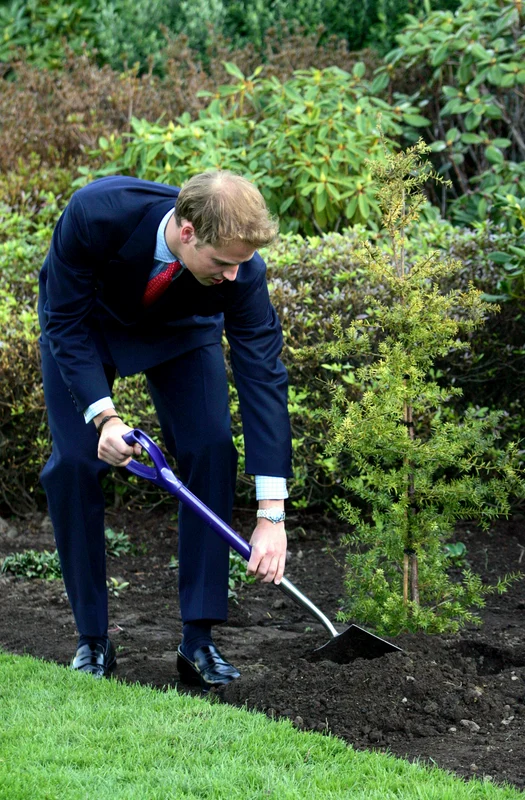 Prince William Attends Tree Planting Ceremony jpeg