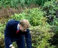 Prince William Attends Tree Planting Ceremony jpeg