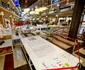Expo Pavilionului României de la Veneția la mall FOTO Iulius Town
