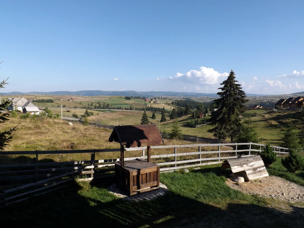marisel cluj 