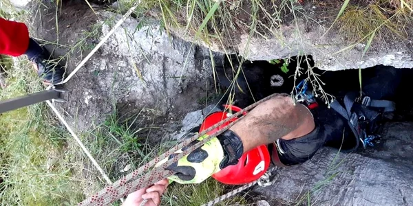 un caine a cazut 10 metri in gol