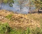 Incendiu de proporții pe Valea Oltului în comuna Racovița Vâlcea Foto ISU Vâlcea