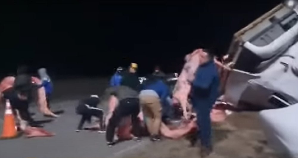 Argentina: Tone de carne, furate dintr-un camion care s-a răsturnat VIDEO