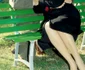 17 monica vitti 4 jpg jpeg