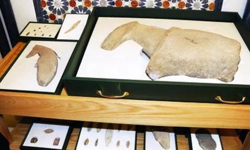 Au fost gasite vestigii ale unei civilizaţii vechi de 9 000 de ani, care domesticise caii jpeg