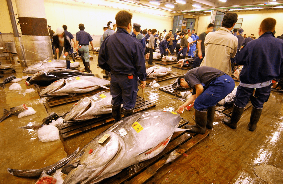 Un ton de 212 kilograme a fost vândut la o licitație în Japonia pentru 271.000 de dolari