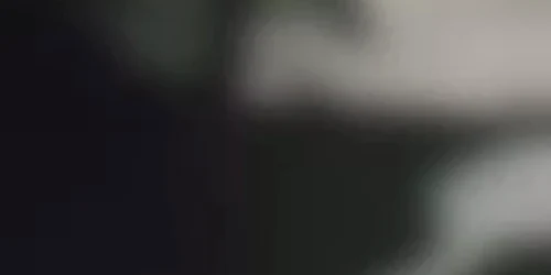 video caz zoofilie brastavatu, olt mp4 thumbnail png
