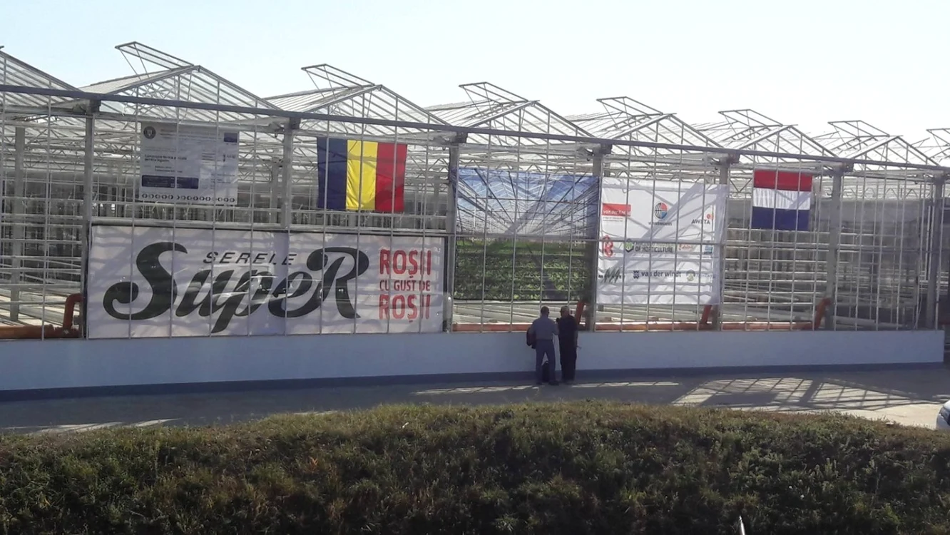Cea mai modernă seră din România a fost construită de olandezi în judeţul Timiş FOTO Ş.Both