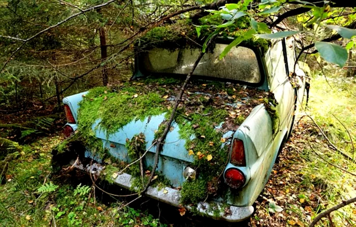 Mașina abandonată, găsită după 40 de ani FOTO: X
