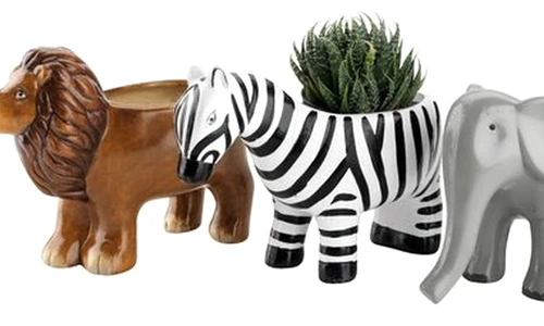 1 74698 original jpg jpeg