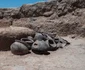 Ceramică de gătit găsită in situ în interiorul cercului (© Università di Catania)