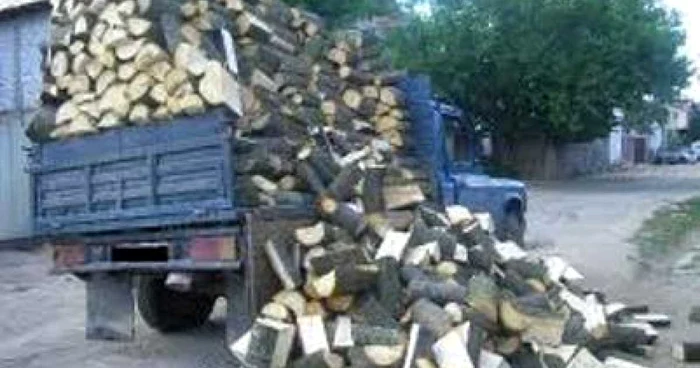 Lemnul a fost confiscat, iar societatea amendată