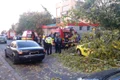 copac prabusit bucuresti isu echipaje smurd jpeg