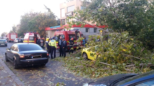 Un copac s-a prăbușit peste un autoturism, în Capitală. Un bărbat a fost găsit în stare de inconștiență, sub crengile copaculuiFoto: ISU București-Ilfov