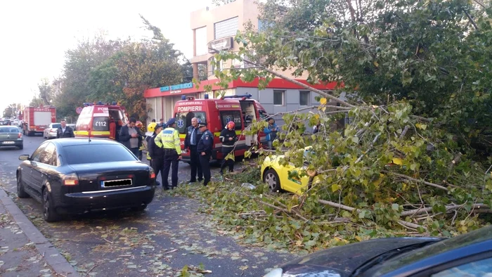 
    Un copac s-a prăbușit peste un autoturism, în Capitală. Un bărbat a fost găsit în stare de inconștiență, sub crengile copaculuiFoto: ISU București-Ilfov  