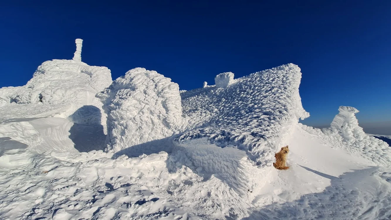 Imagini incredibile de la Cabana Omu / foto: arhiva Click!
